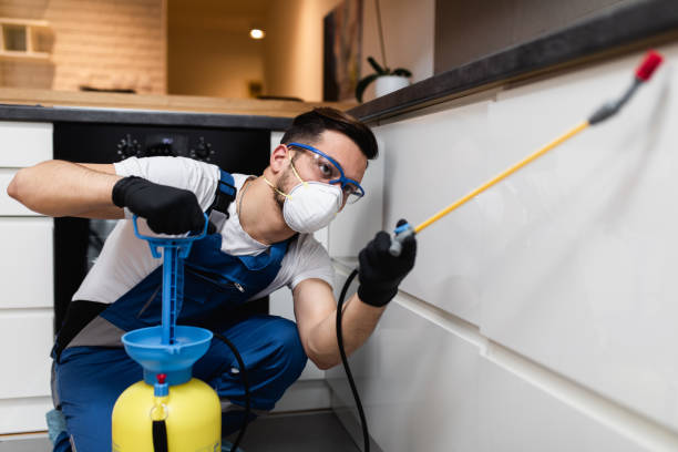 Best Termite Control Services  in Princeton, WV