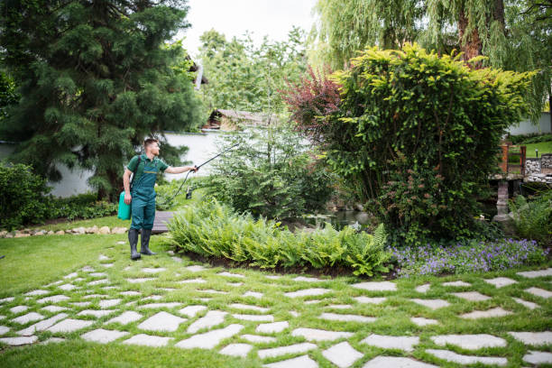 Best Wasp Removal Services  in Princeton, WV