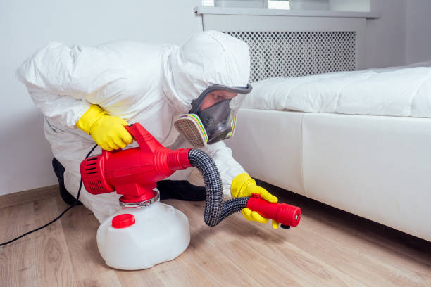 Best Pest Prevention Services  in Princeton, WV