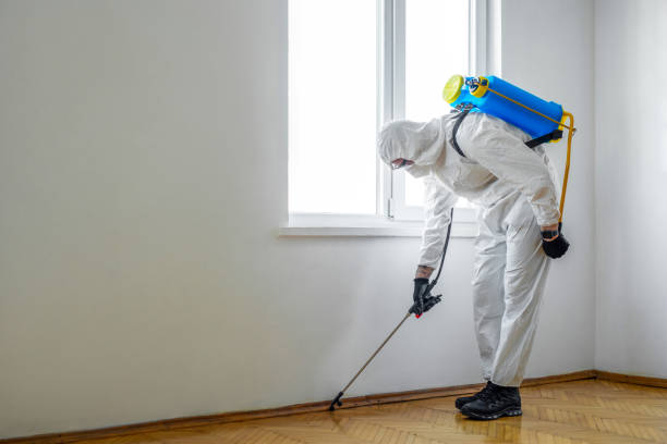 Best Flea Control Services  in Princeton, WV