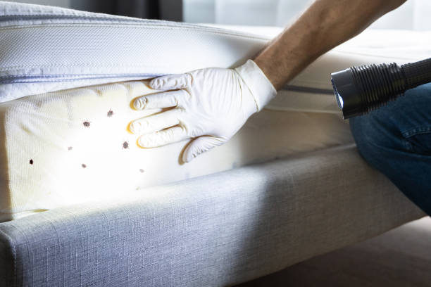 Best Best Pest Control Companies  in Princeton, WV