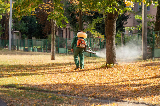 Pest Prevention Services in Princeton, WV