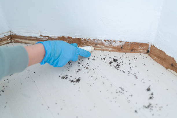 Reliable Princeton, WV Pest Control Solutions